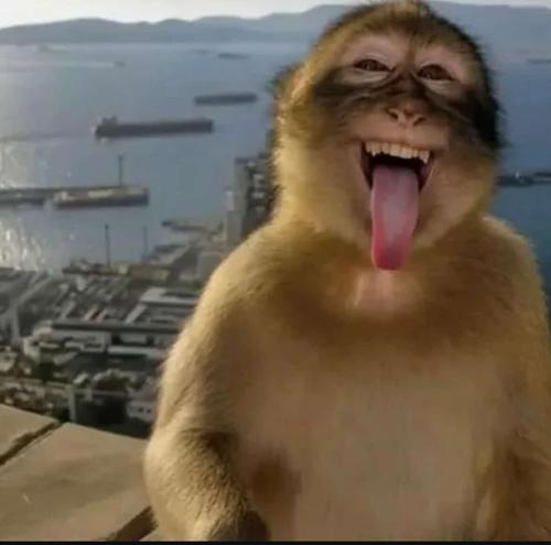 ・爪丨尺卂匚・